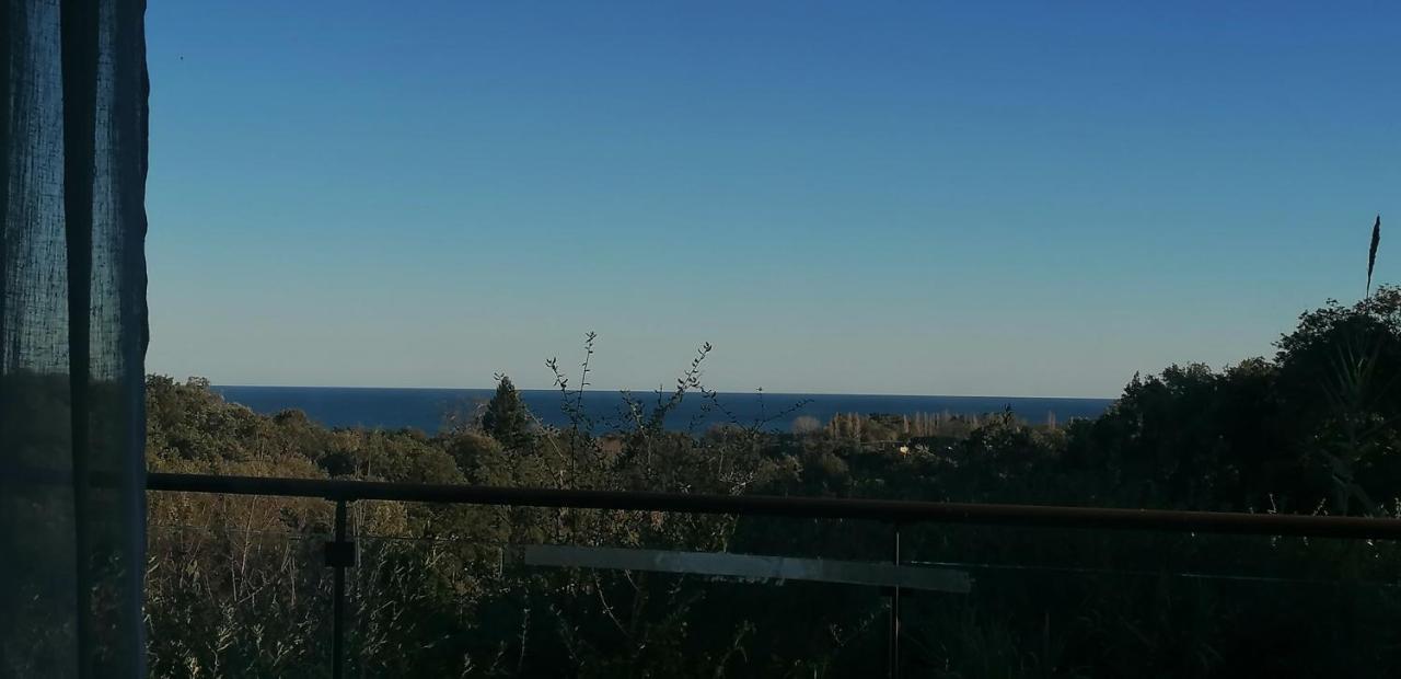 Villa Angelini Valle-di-Campoloro 外观 照片