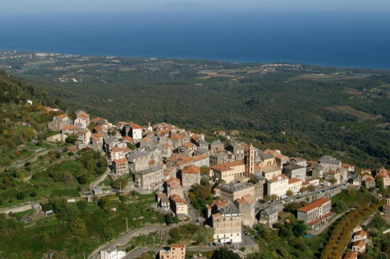 Villa Angelini Valle-di-Campoloro 外观 照片