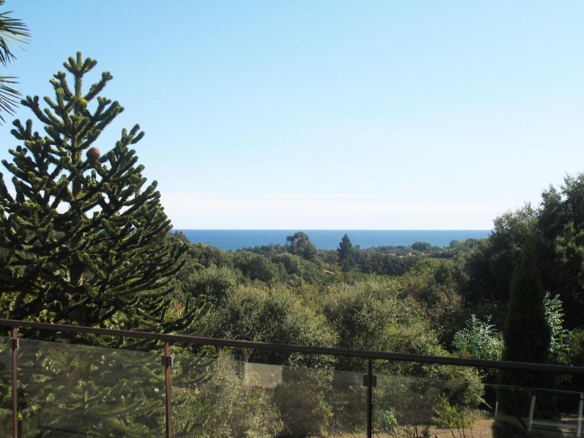Villa Angelini Valle-di-Campoloro 外观 照片